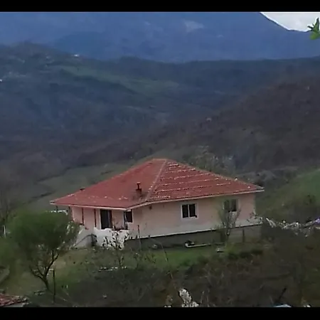 Redi Villa