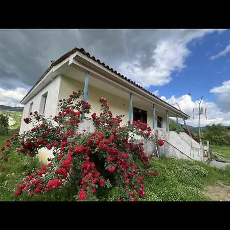 Villa Redi *