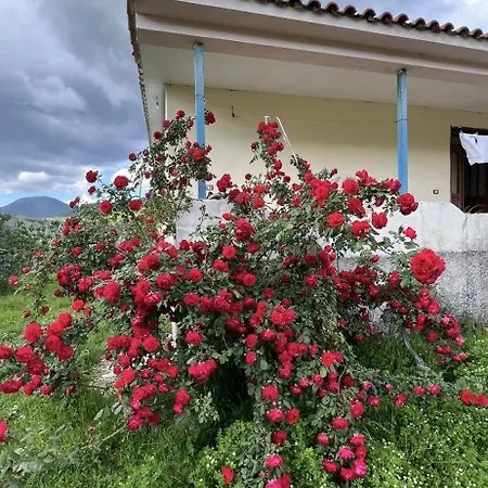 Redi Elbasan